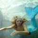 Illustration for article titled Young Adult Fiction's Hottest New Trend: Mermaids?